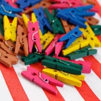 Mini Wooden Pegs - Multi Coloured