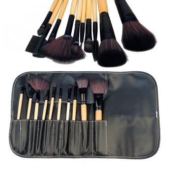Professional 10 pcs Makeup Brush Set 